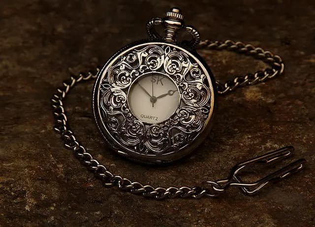 Guide d'achat des montres de luxe en acier inoxydable